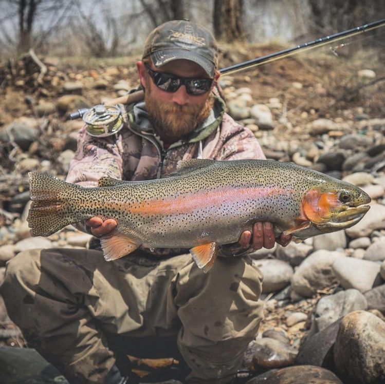 Gunnison Rainbow