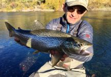  Fotografía de Pesca con Mosca de Salmo trutta compartida por Rodo Radic | Fly dreamers