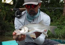 Fly-fishing Pic of Snook - Robalo shared by Kid Ocelos | Fly dreamers 