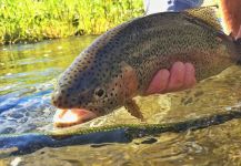 Salmon River, Sun Valley, Idaho, United States