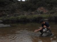 Foto de pesca con mosca