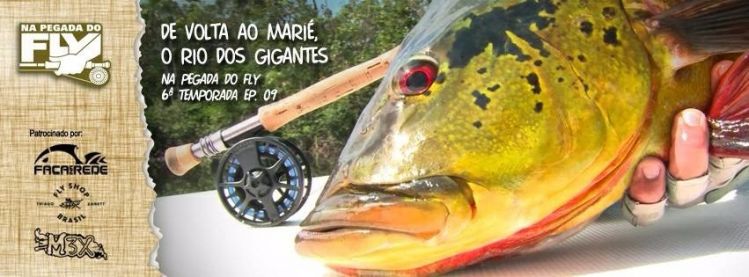 20 POUNDS IN MARIE RIVER - AMAZON - BRAZIL