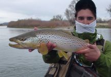 Fly-fishing Picture of European brown trout shared by Jimbo Busse | Fly dreamers