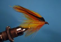 Fly for European brown trout shared by Jimbo Busse | Fly dreamers 