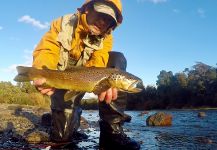  Fotografía de Pesca con Mosca de Trucha marrón compartida por Rodo Radic | Fly dreamers