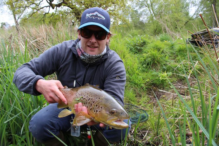 Lovely brownie out of the River Kennet