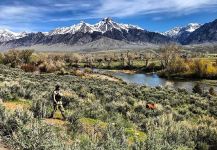 Silver Creek, Sun Valley, Idaho, United States