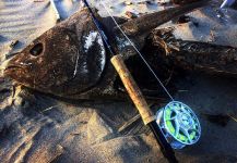  Imagen de Pesca con Mosca de Atún de aleta azul compartida por The Lucky Flyfisher | Fly dreamers