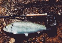  Mira esta Gran foto de Pesca con Mosca de The Lucky Flyfisher