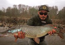 The Lucky Flyfisher 's Fly-fishing Pic of a Pike | Fly dreamers 