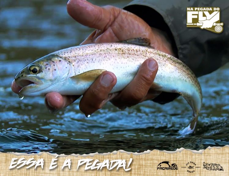 O Na Pegada do Fly irá mostrar as belas trutas argentinas que vivem em um verdadeiro paraíso que é a Patagônia, essa, em especial, habita o rio Malleo, em Sam Martin de Los Antes.