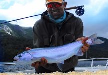 Kid Ocelos 's Fly-fishing Photo of a Rainbow trout | Fly dreamers 