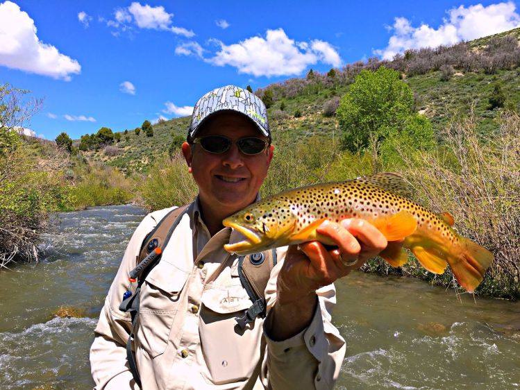 Northern Utah Brown