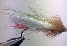 Laurin Parker 's Fly-tying for speckled trout - Photo | Fly dreamers 