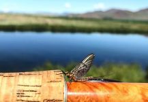 Silver Creek, Ketchum, Idaho, United States