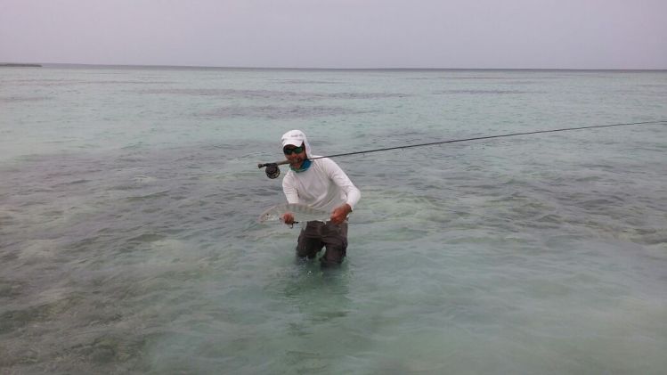 Bonefish de isla saona en reop dominicana