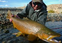 Miguel Angel Marino 's Fly-fishing Photo of a European brown trout | Fly dreamers 