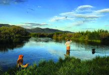 Silver Creek, Ketchum, Idaho, United States