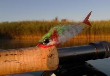 Henrik Megyer 's Fly-tying for Aspius aspius - Pic | Fly dreamers 