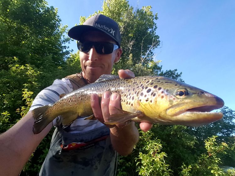 Nice big high water brownies