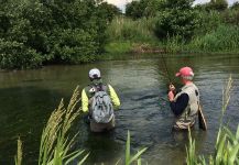 Salmo fario Fly-fishing Situation – Will Robins shared this Impressive Photo in Fly dreamers 