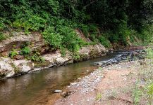 Rio dorado, templo y meca del dorado