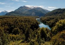 Noticias: El Parque Nacional Los Alerces fue declarado Sitio de Patrimonio Mundial