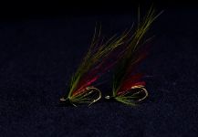 Morten Jensen 's Fly for Grilse - Picture | Fly dreamers 