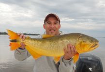 PESCA DE DORADOS EN BELLAVISTA CORRIENTES, PARANA MEDIO