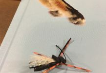 Sweet Fly-fishing Gear Photo shared by Carolina Liechtenstein | Fly dreamers 