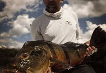 Kid Ocelos 's Fly-fishing Picture of a Peacock Bass | Fly dreamers 