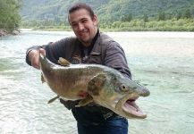 Fly-fishing Image of Marble Trout shared by Bovec Fly-fishing | Fly dreamers