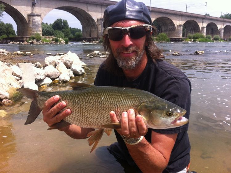 Aspio del Loira pescado con una Santtu Fly 
