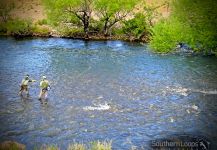 Planning a successful northern Patagonia Argentina fly fishing schedule