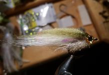 David Bullard 's Fly-tying for Snook - Robalo - Pic | Fly dreamers 