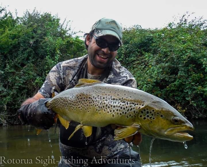 Giant brown hen