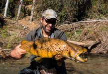 Dion James 's Fly-fishing Photo of a European brown trout | Fly dreamers 