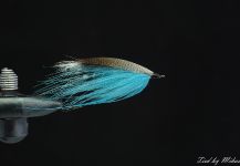 Mikael Högberg 's Fly for Grilse - | Fly dreamers 