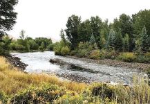 Silver Creek, Ketchum, Idaho, United States