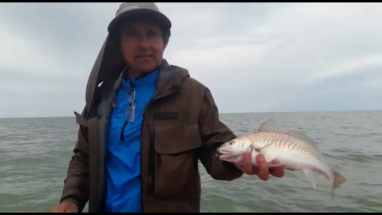 Corvina en pehenco con clouser minow