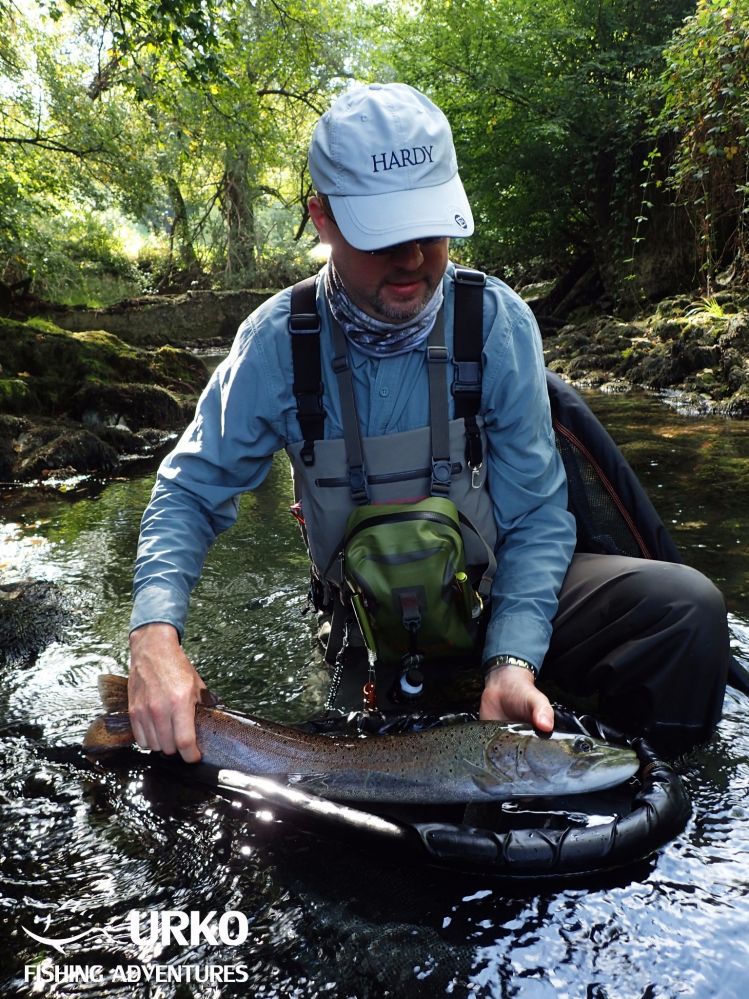 Meet the Huchen (Danube Salmon - Hucho Hucho) - Taimen