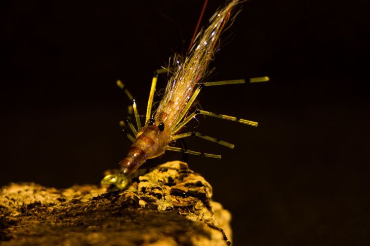 A shrimp imitation targeted to species that Ear those kinds of lunch bites 