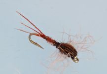 Fly-tying for Rainbow trout - Picture by Colin Pittendrigh 