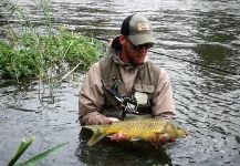 Fly-fishing Photo of Yellowfish shared by De Waal Spies | Fly dreamers 