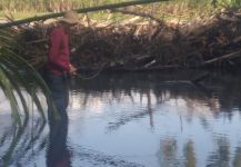 Pesca de Sabaleta en el río Guarne