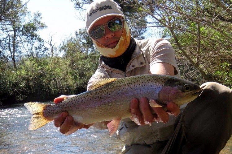 Trout fishing in brazilian highlands