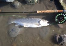 Squamish River, Vancouver, British Columbia, Canada