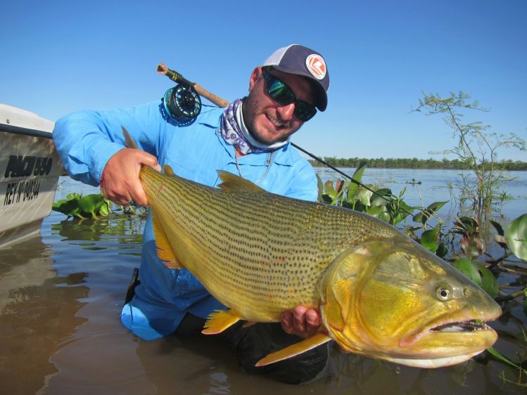 Oro del Rio corriente Esquina 10,600 kg