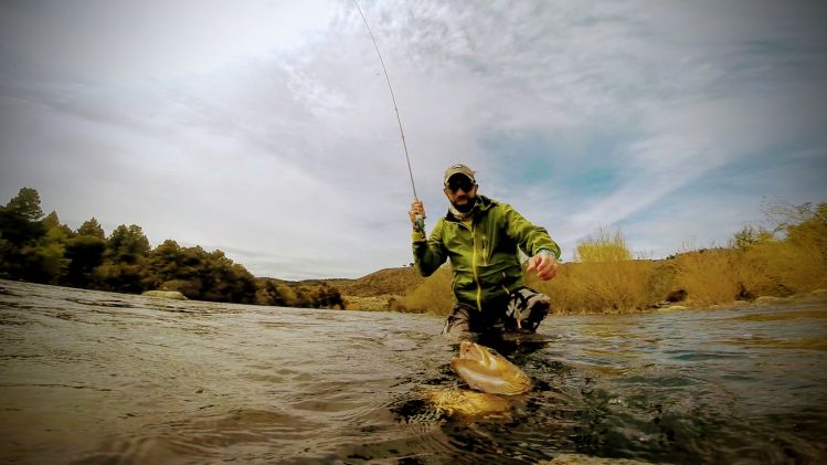 Ninfeando el rio Pulmari 