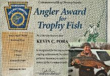 Kevin Pora 's Fly-fishing Photo of a Steelhead | Fly dreamers 